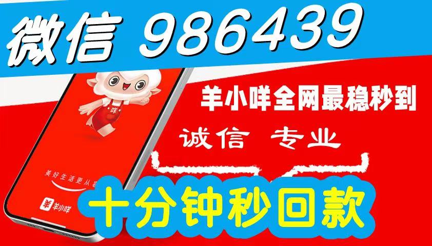 2026 羊小咩便荔卡包额度怎么提现出来使用,简单三步教您自己操作