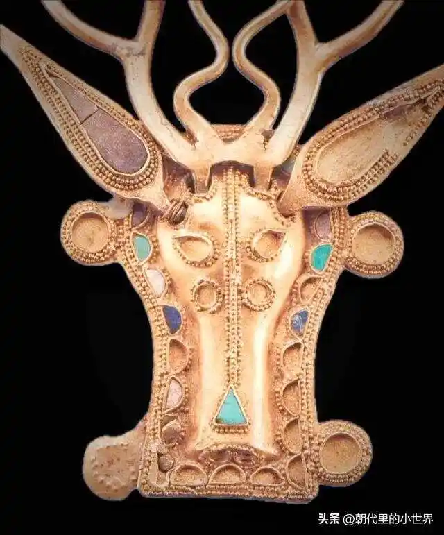 300268726_5_20250731063553757.jpeg 300268726_5_20250731063553757.jpeg